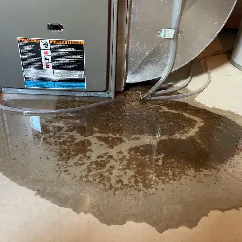 Appliance Leak Cleanup in Frankenmuth, MI